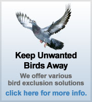Keep Unwanted Birds Away